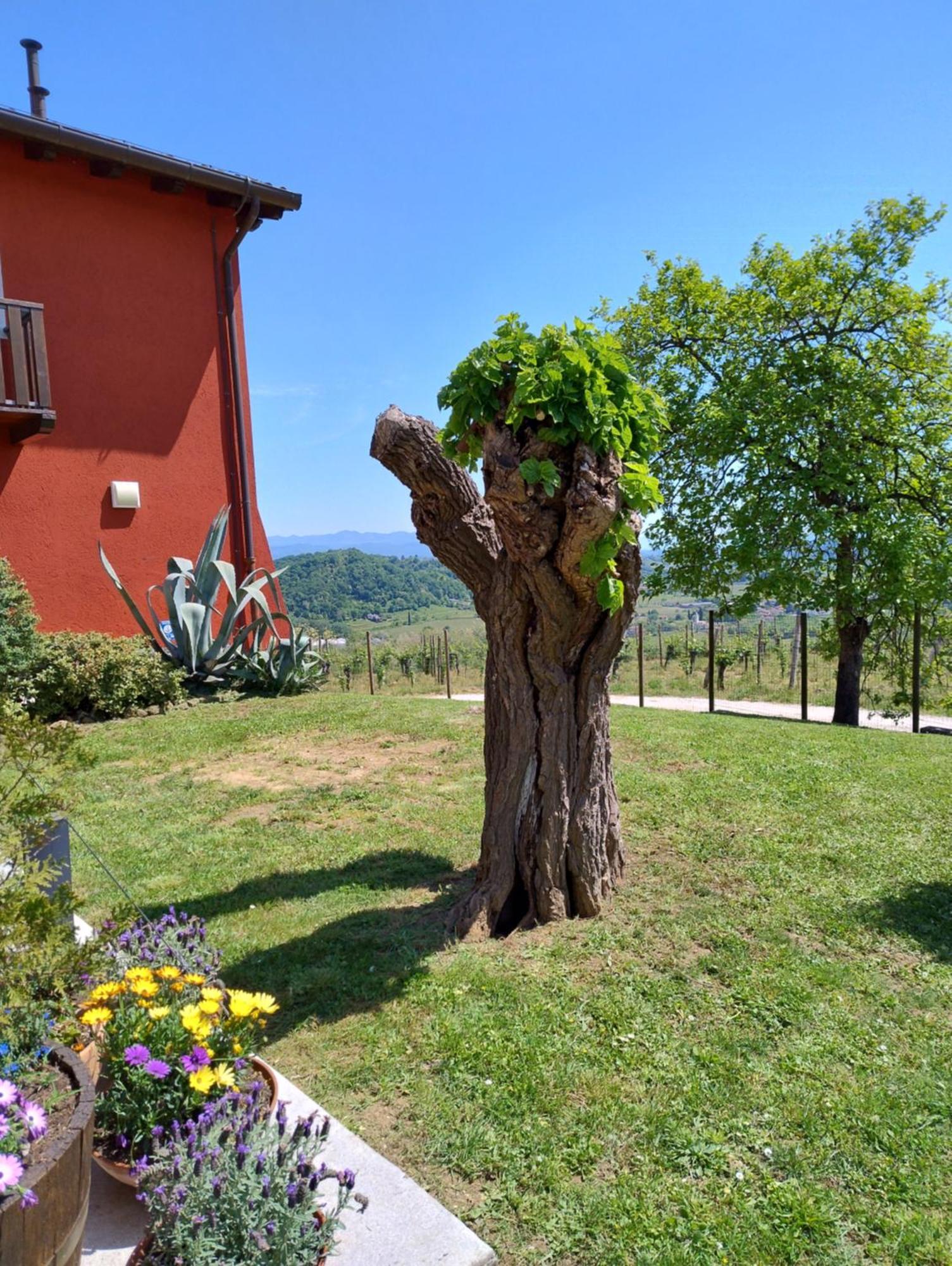 Le Badie Wine Resort Rosazzo Luaran gambar