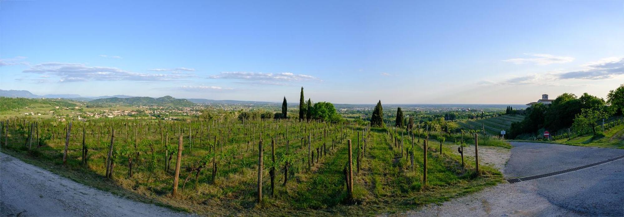 Le Badie Wine Resort Rosazzo Luaran gambar