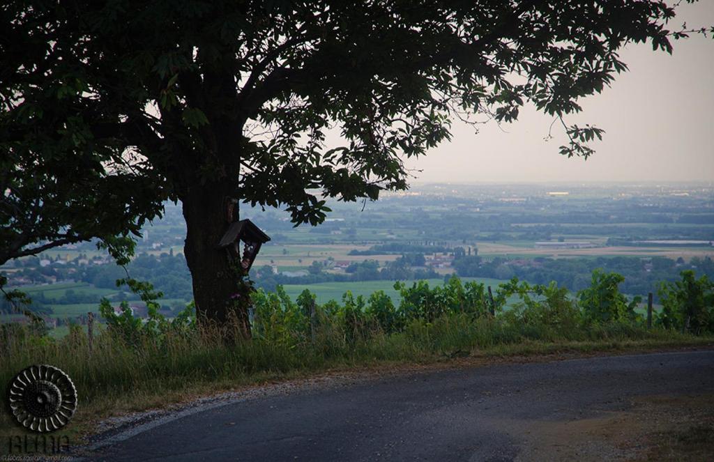 Le Badie Wine Resort Rosazzo Luaran gambar