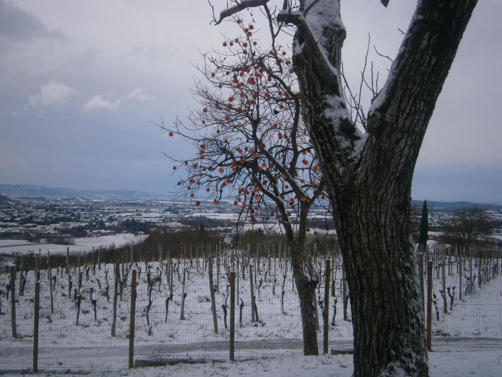 Le Badie Wine Resort Rosazzo Luaran gambar
